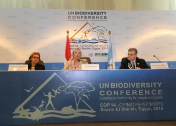 وزيرة البيئة تعلن عن تفاصيل مشروعي برنامج الأمم المتحدة الإنمائي في مؤتمر صحفي