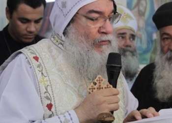 انبا مكاريوس: نحن كمصريين نرفض الظلم والاضطهاد ونطالب بالحقوق بدافع وطنى