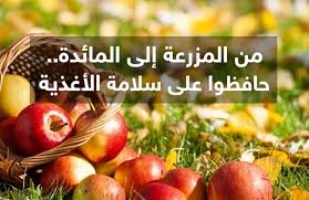 طاقة نور.. سلامة الغذاء.. خرج من حيز التشريع إلى التطبيق