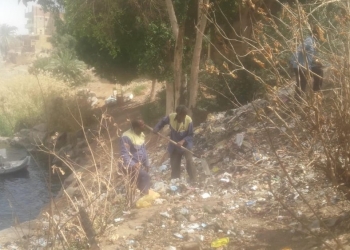 البيئة : حملة لتطهير النيل من المخلفات بأسوان