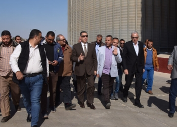 الجيش ينتهي من تنفيذ صوامع تخزين القمح ببني سويف