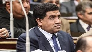 خالد حنفي عضو مجلس النواب