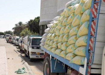 استمرار أعمال توريد القمح لشون وصوامع محافظة الغربية