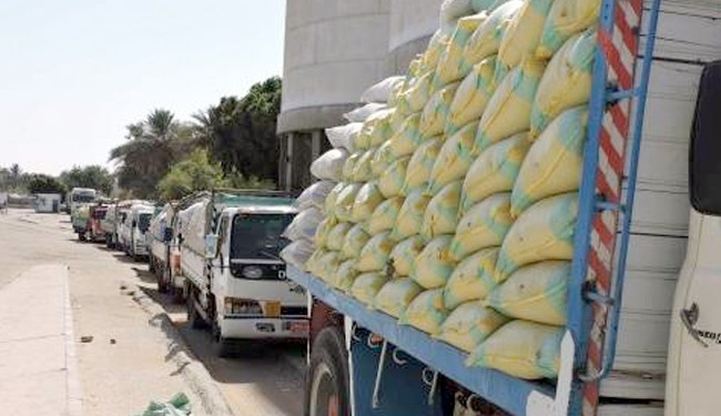 استمرار أعمال توريد القمح لشون وصوامع محافظة الغربية