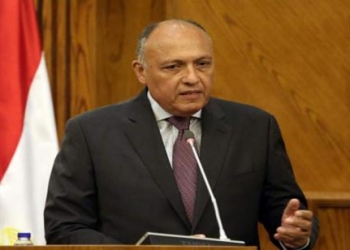 “شكري” يستقبل وفد مفوضية الاتحاد الإفريقي المعني باتفاقية التجارة الحرة الإفريقية