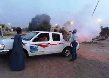 محافظ أسوان : جهود للقضاء على إنتشار الحشرات بالمدن