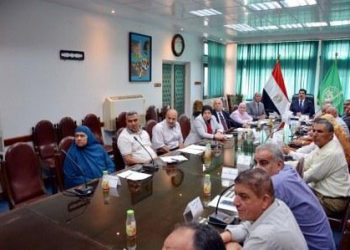 محافظ القليوبية يجتمع مع اللجنة العليا لمكافحة ناقلات الأمراض