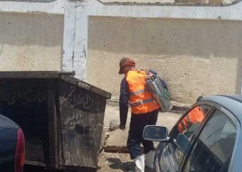 بالصور.. حملات مكثفة لمكافحة البعوض والناموس بشوارع السويس