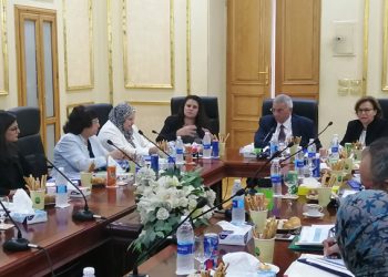 رئيس "التخطيط العمرانى" يلتقى عددا من المسئولين لمتابعة "تدعيم وادارة التنمية فى القاهرة "