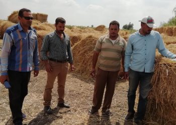 البيئة تواصل جهودها لمواجهة نوبات تلوث الهواء الحادة