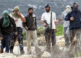 مستوطنون متطرفون يعتدون على مركبات الفلسطينيين شمال سلفيت