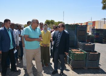 "الزملوط" يتفقد مجمع تمور المحافظة
