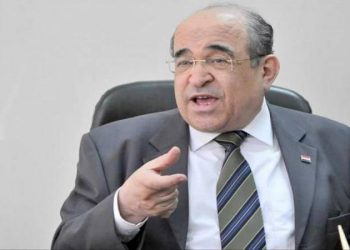 الفقي: مصر تتعرض لحرب ممنهجة من الشائعات