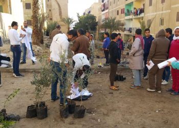 “فؤاد” تشيد بتعاون مبادرة شجرها مع الوزارة في إطار حملة اتحضر للأخضر