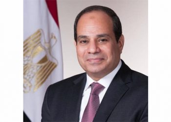 محافظ الغربية يهنئ رئيس الجمهورية والقوات المسلحة.. بافتتاح قاعدة برنيس العسكرية