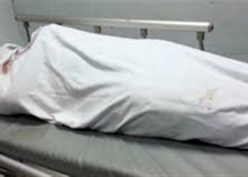ضبط بائع متجول متهم بقتل شقيقه الأصغر في الفيوم