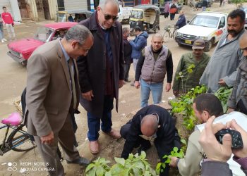 البيئة : تعاون بين  مبادرتى” اتحضر للاخضر ” وشجرها