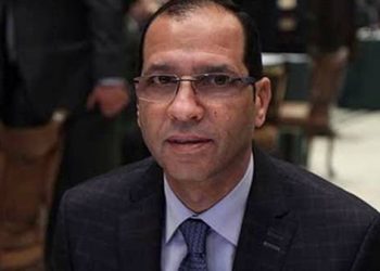 برلماني يشيد بالجهود الحكومية من أجل الحفاظ على مساحات الأرز المزروعة