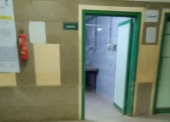 بالصور.. اختفاء الأطباء وانتشار القطط بمستشفي حوش عيسي بالبحيرة