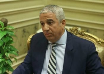 رئيس “خارجية النواب”: مصر تعمل بكامل طاقتها لصالح تنمية القارة الأفريقية