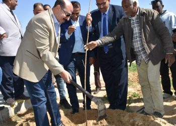 محافظ اسوان يطلق مبادرة ” حنجملها ” للتشجير 