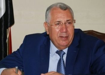 المجلس الدولي للزيتون: مصر الأولى عالميا في إنتاج زيتون المائدة