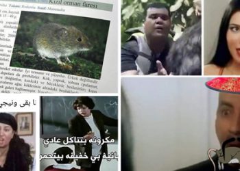بعد فيروس كورونا..كوميكس فيروس "هانتا" وأكل الفئران
