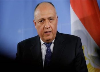 شكري يشارك في مؤتمر وزاري مصغر عبر “الفيديو كونفرانس” لأعضاء هيئة مكتب الاتحاد الأفريقي