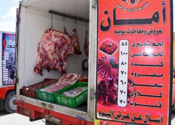 "الشريف" يوجه شركة الإسكندرية لتوزيع الكهرباء بتقسيط أي مديونيات على أهالي قرى أبيس