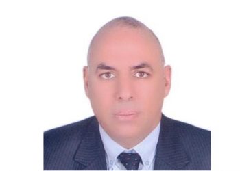 توفير أصناف الذرة عالية الإنتاج بالقليوبية