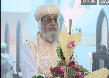عظة البابا فى قداس أحد الشعانين