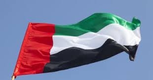 “الإمارات” تدين هجوم إحدى المركبات المدرعة بشمال سيناء