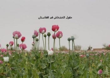 ارتفاع أسعار المخدرات وتوقعات بتحول المتعاطين لمواد صناعية