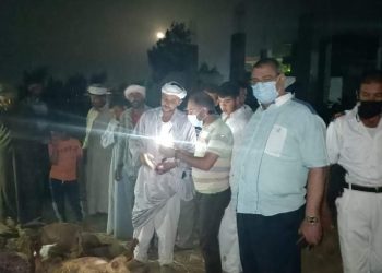 ضبط 20 خروف مذبوحين بعد الوفاة.. قبل توزيعهم على الجزارين في البحيرة