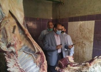 ضبط جزار يذبح خارج السلخانة وبحوزته أختام مزورة