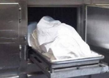 حبس متهم بقتل شقيقه بالقناطر بسبب كلب