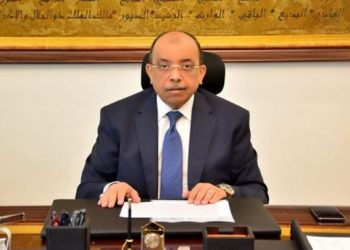 تعيين محمد محمود أنيس عبد الحميد سكرتير عام محافظة الوادى الجديد