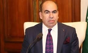 الهضيبي : مصر قادرة على التصدي لأي تهديدات تمس أمنها القومي