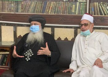 المشاط» أمام البنك الدولي: مصر لديها أعلي نسبة تمثيل للمرأة في الحكومة