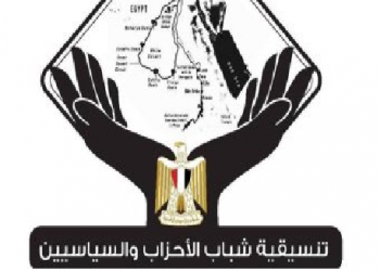 شباب الأحزاب والسياسيين
