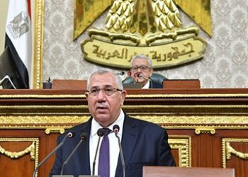 السيد القيصر: الوزارة تتبنى فكرة إنشاء المزارع الأفريقية في ضوء تعزيز العلاقات المصرية الأفريقية