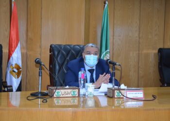 زراعة 250 ألف فدان قمح بالمنيا .. وبدء موسم التوريد 15 أبريل المقبل