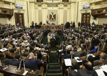 أعضاء البرلمان يطالبون بإطلاق اسم الفريق كمال عامر على إحدى القاعات داخل المجلس