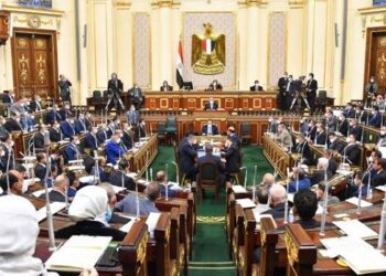 برلماني: يطالب بحذف المادة 38 من مشروع قانون الرى الجديد