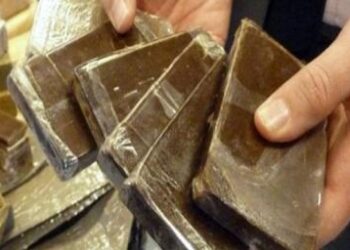 ضبط نصف كيلو حشيش بحوزة “مسجلين خطر”