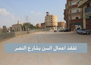 محافظ المنوفية يجري جولة ميدانية موسعة بالشهداء