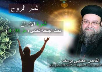 ثمرة الإيمان..  “تحت أجنحته تحتمي” ( مزمور ٩١ : ٤ )