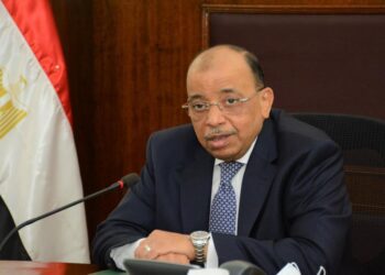 وزارة التنمية المحلية تحتفل بإدارج البرامج التنموية التي  تشرف عليها بمنصات الأمم المتحدة