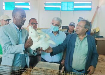 الزراعة : التعاون بين “بحوث الصحراء و”اكساد””لتطوير مشروعات التحسين الوراثي للأغنام في جنوب سيناء