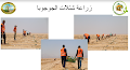 مشروع الجوجوبا بالبحر الأحمر يستهدف إنتاج 4500 طن زيت